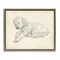Stupell Industries Antique Sleeping Dog Sketch Floating Frame By Ethan Harper